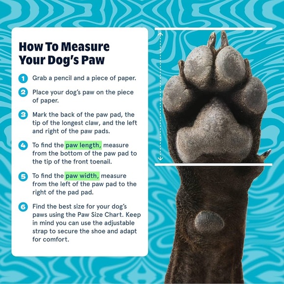 Dog Crocs NWOT Dragon Fruit Pink - Picture 3 of 4